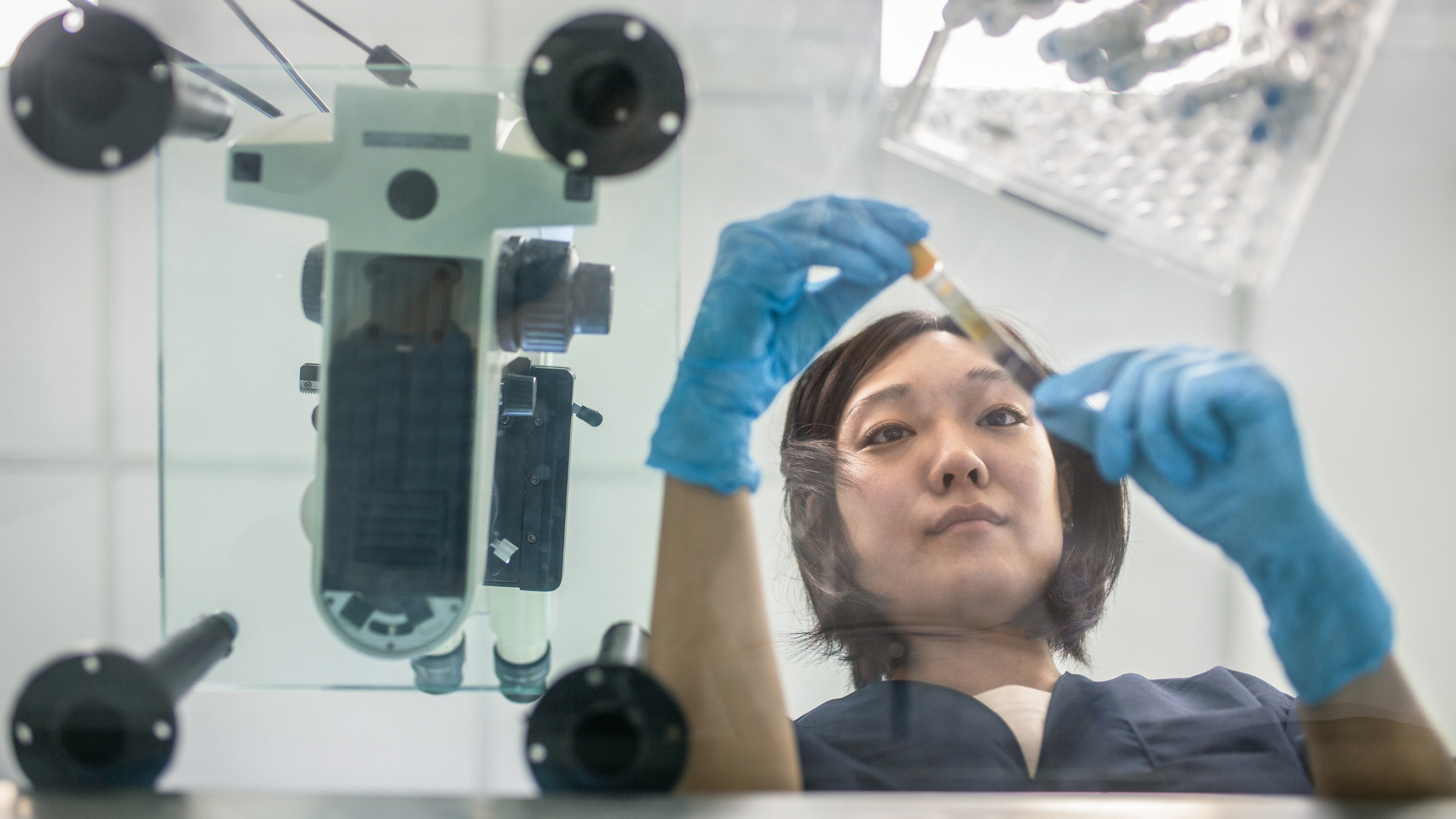 woman doing test tube experiments