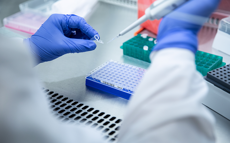 Lab wearing purple protective gloves tests for COVID Delta Variant