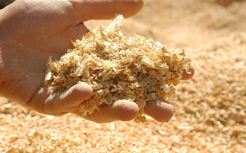 Sawdust