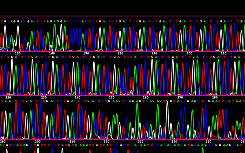 DNA sequence
