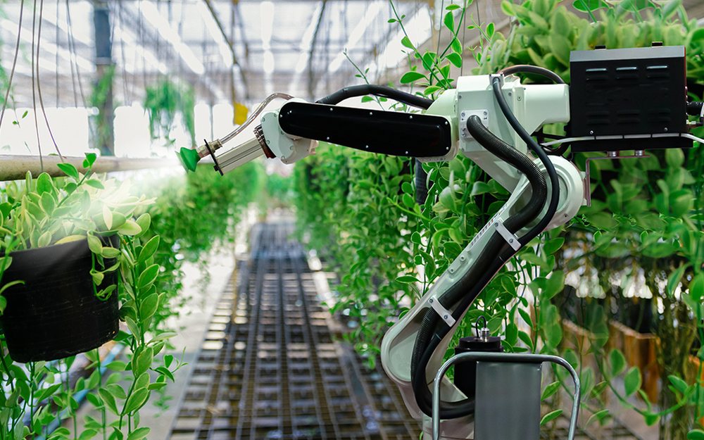 A robotic arm tending plants in an indoor vertical farm