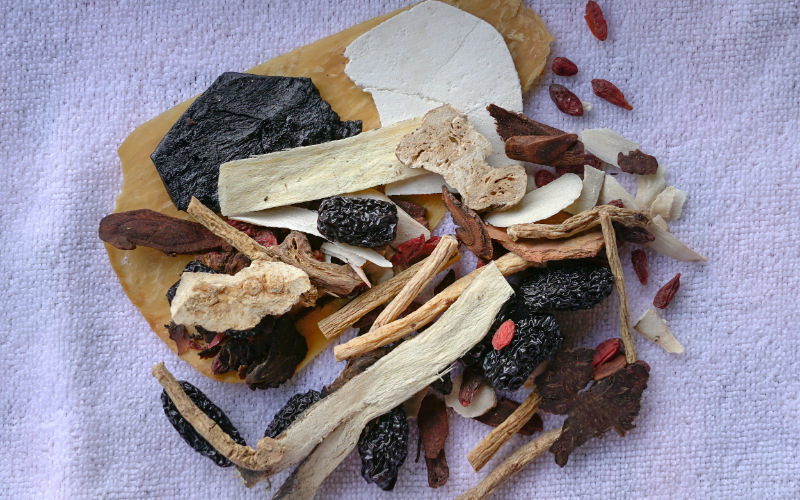 Dried herbal materials laid out for phytochemical analysis
