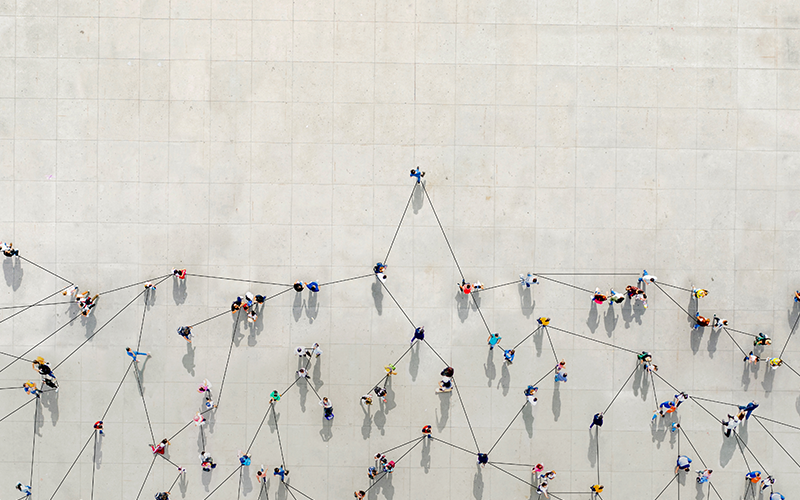 rowd from above forming a growth graph with lines connecting between them