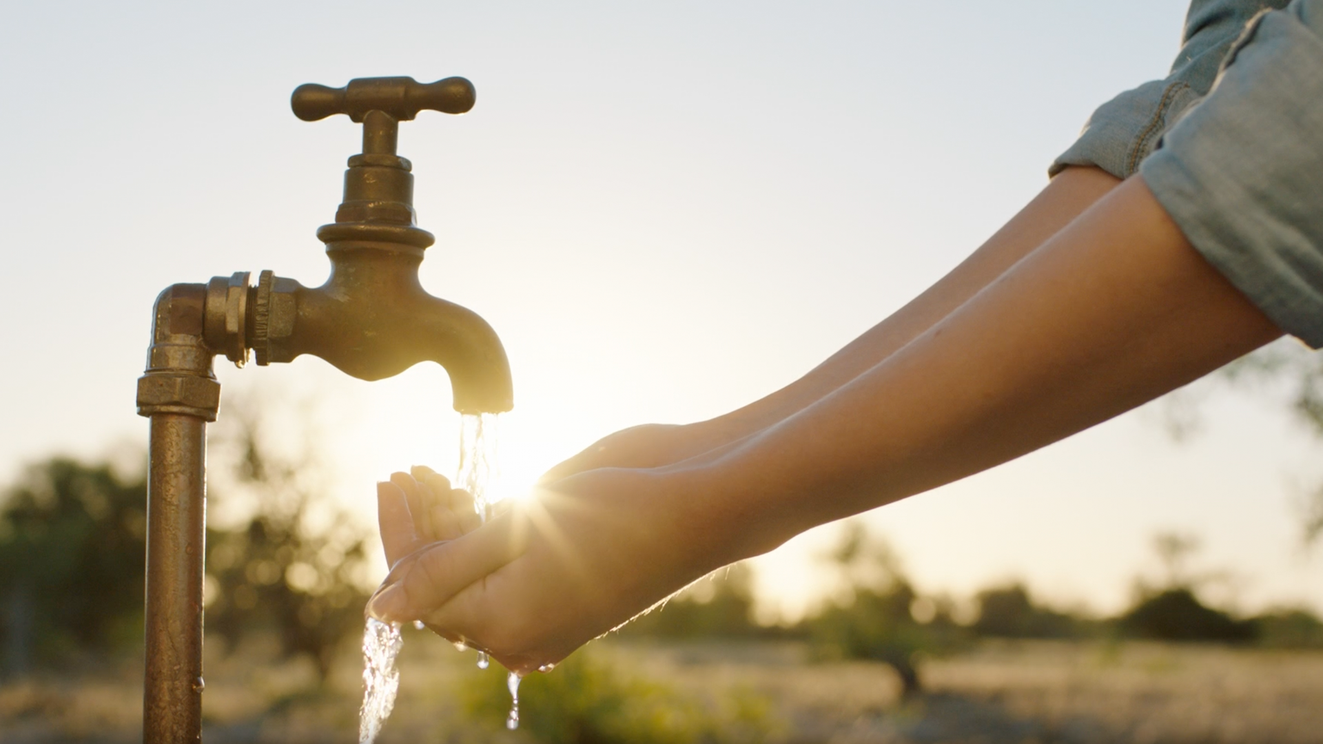 The Woman Who Remembered the Weight of Water