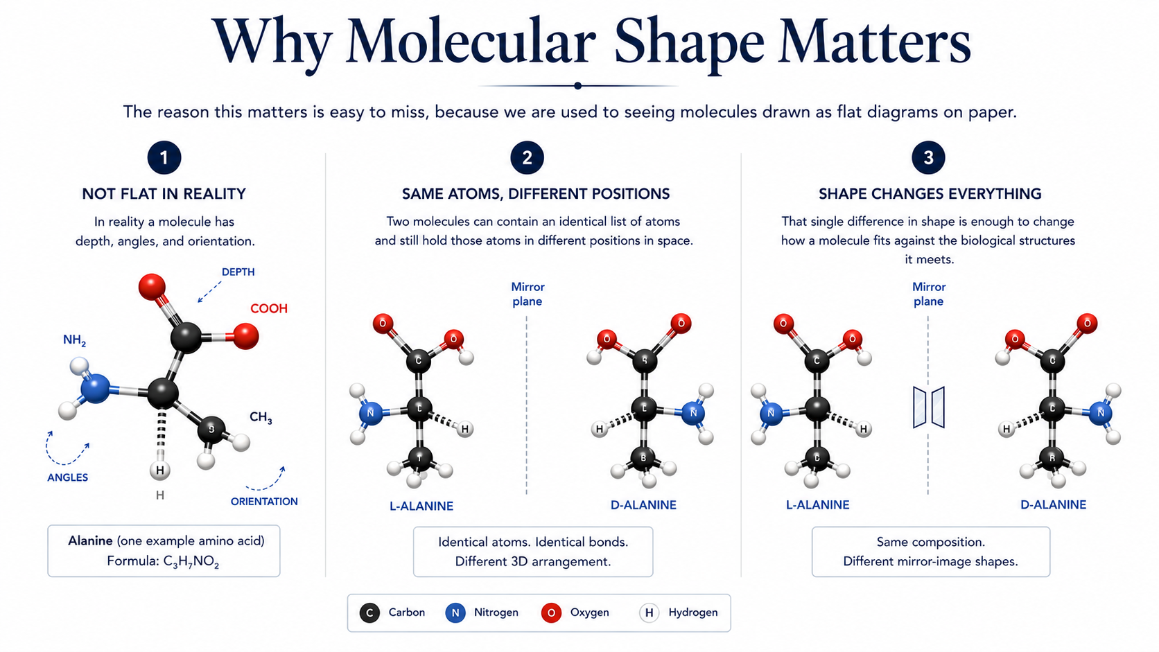 Image showing why the molecular shape matters