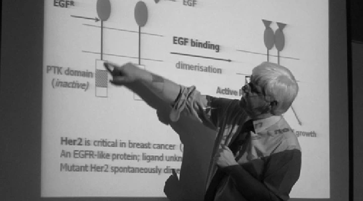 lecturer giving a lecture with a whiteboard
