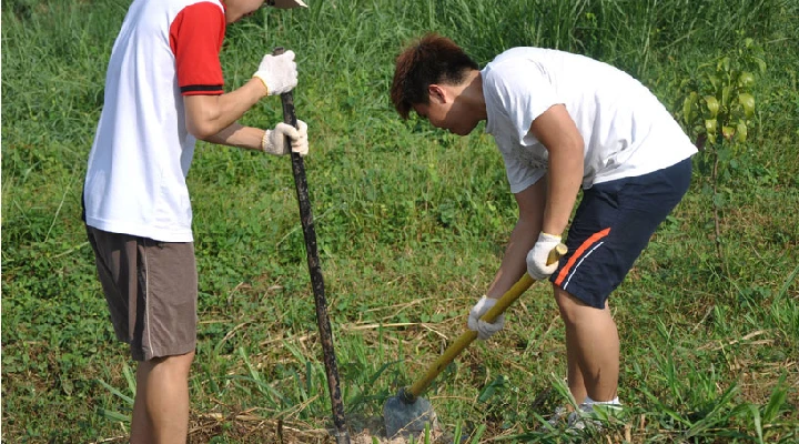 students planting trees