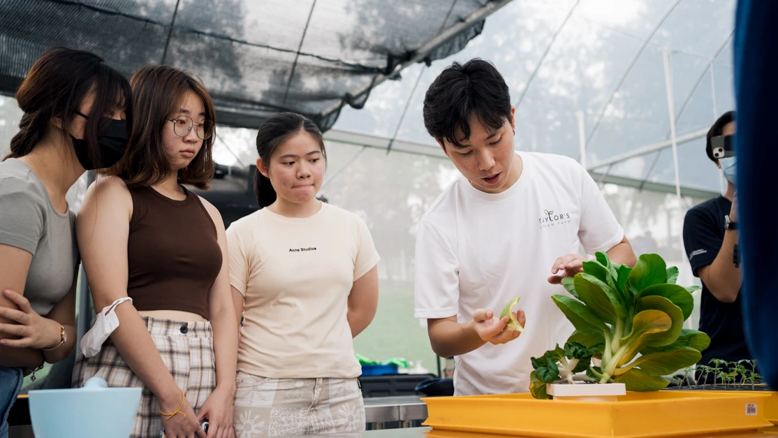 Taylor's biosciences master student examining the plant