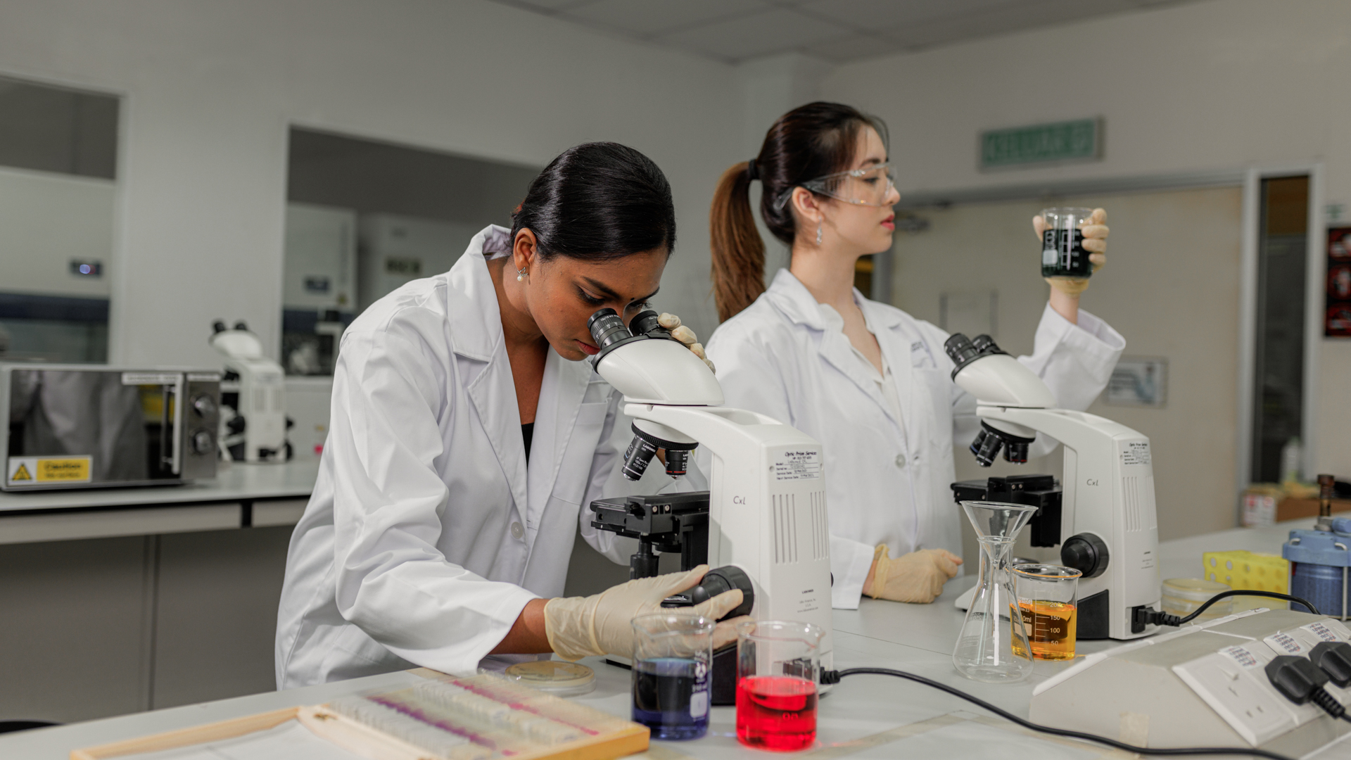 Master of Science students conducting laboratory research using microscopes and chemical samples