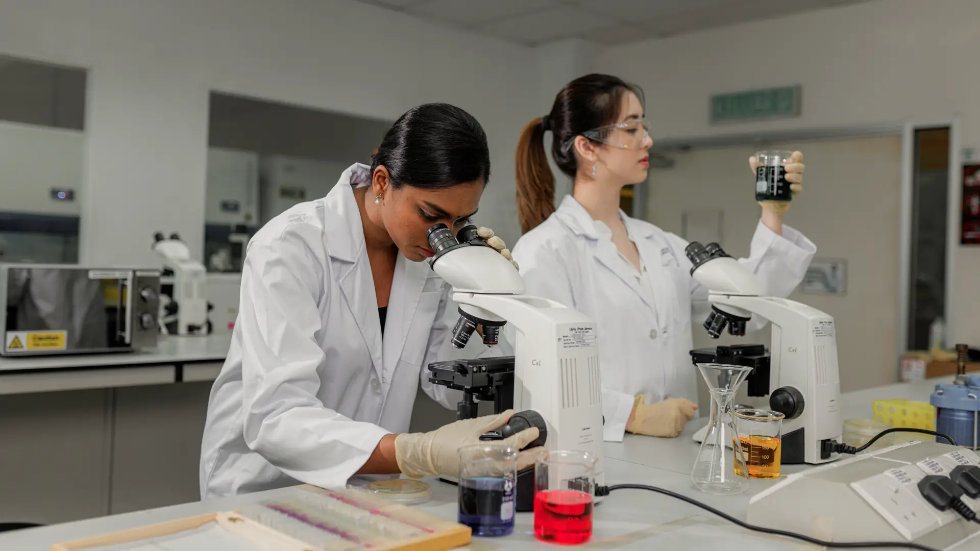 Master of Science students conducting laboratory research using microscopes and chemical samples