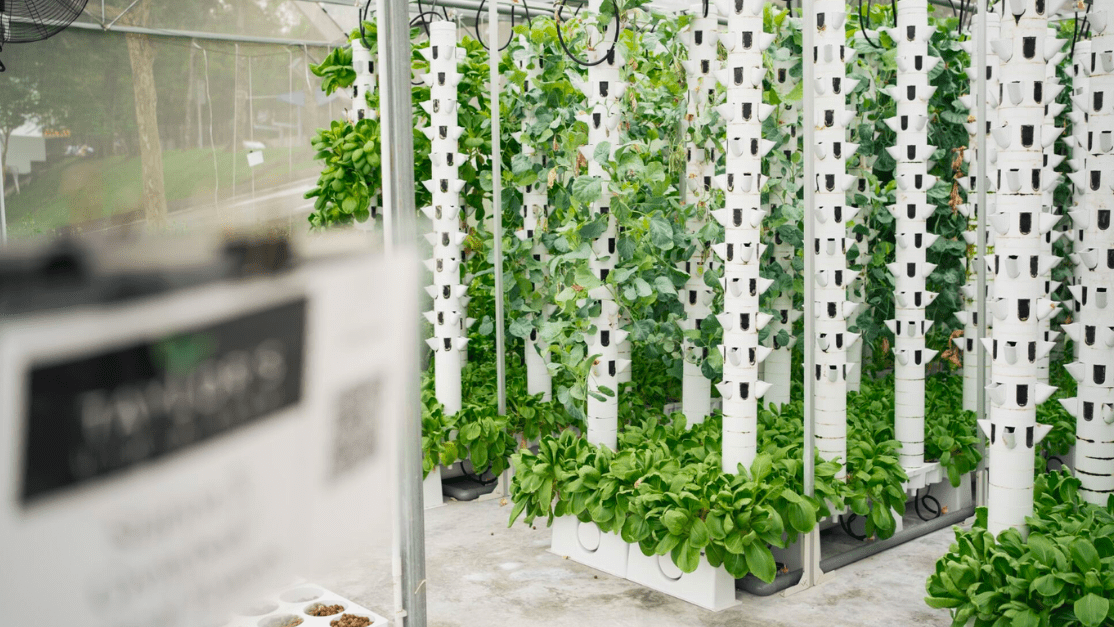 Vertical farm at Taylor's University