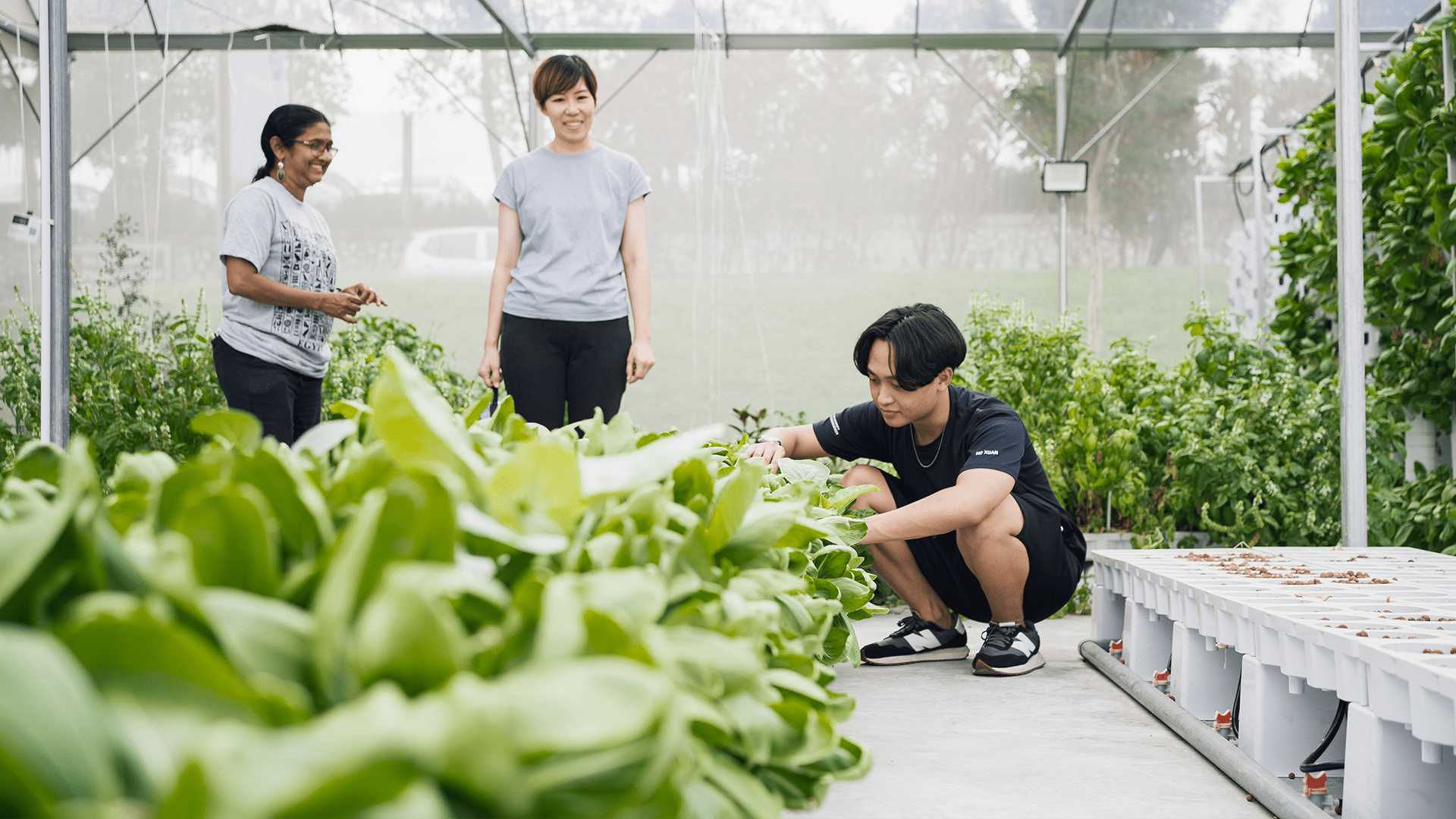 Taylor's bioscience student working at the urban farm