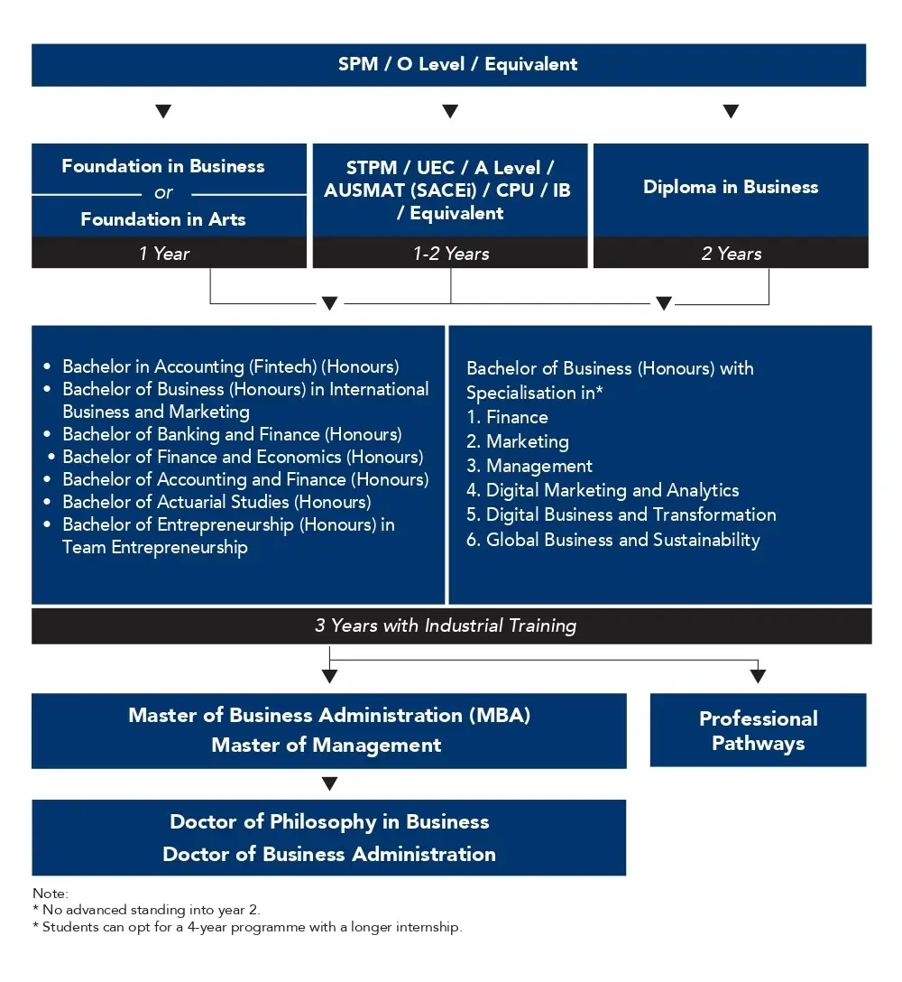 A chart showing the education pathway for Business Degree