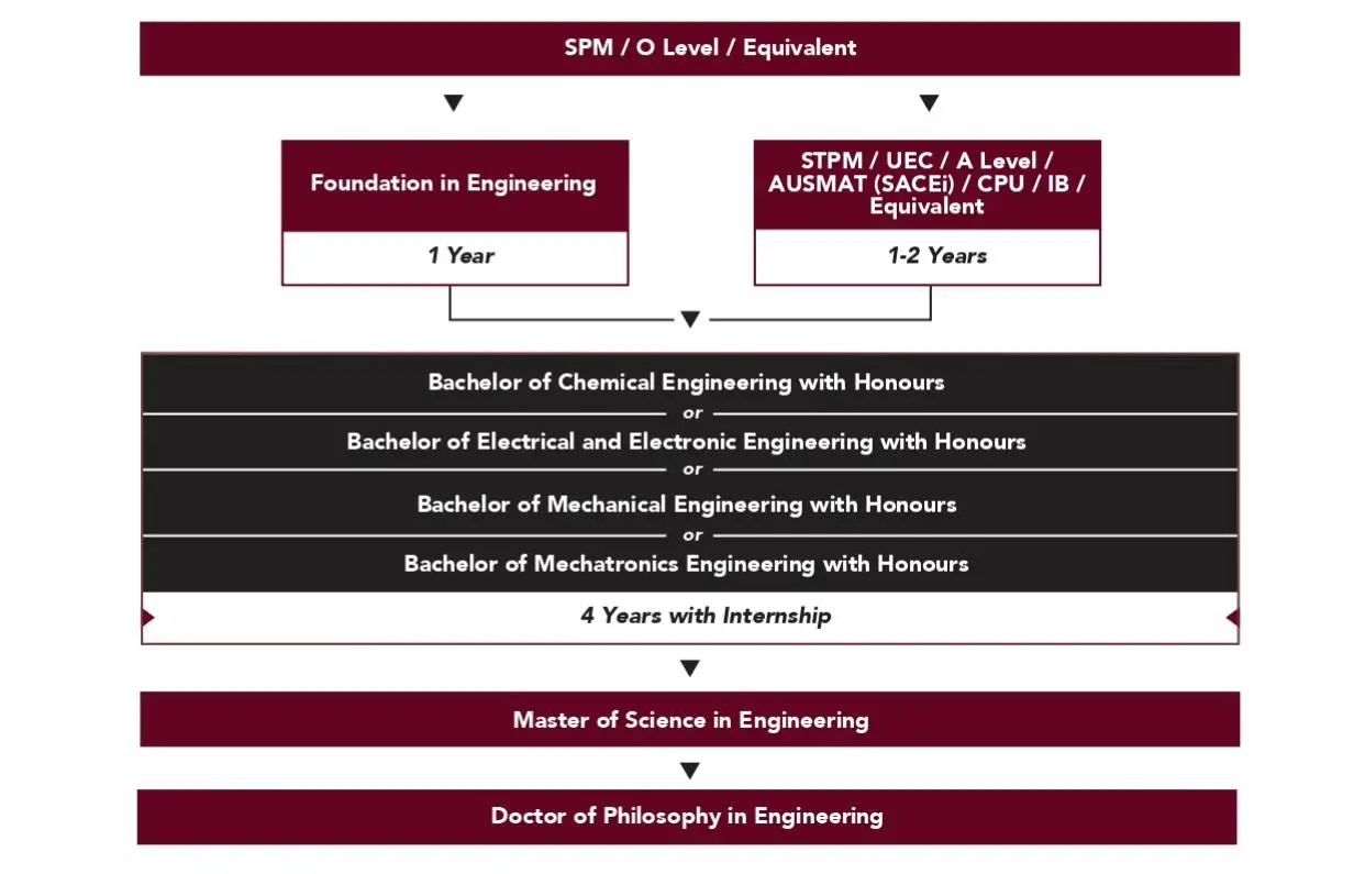 A chart showing the education pathway for Education Degree