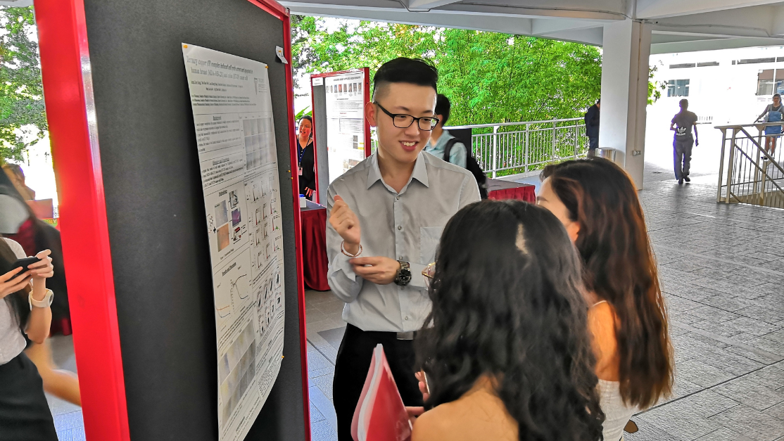 Taylor's Pharmacy student present research finding in research symposium