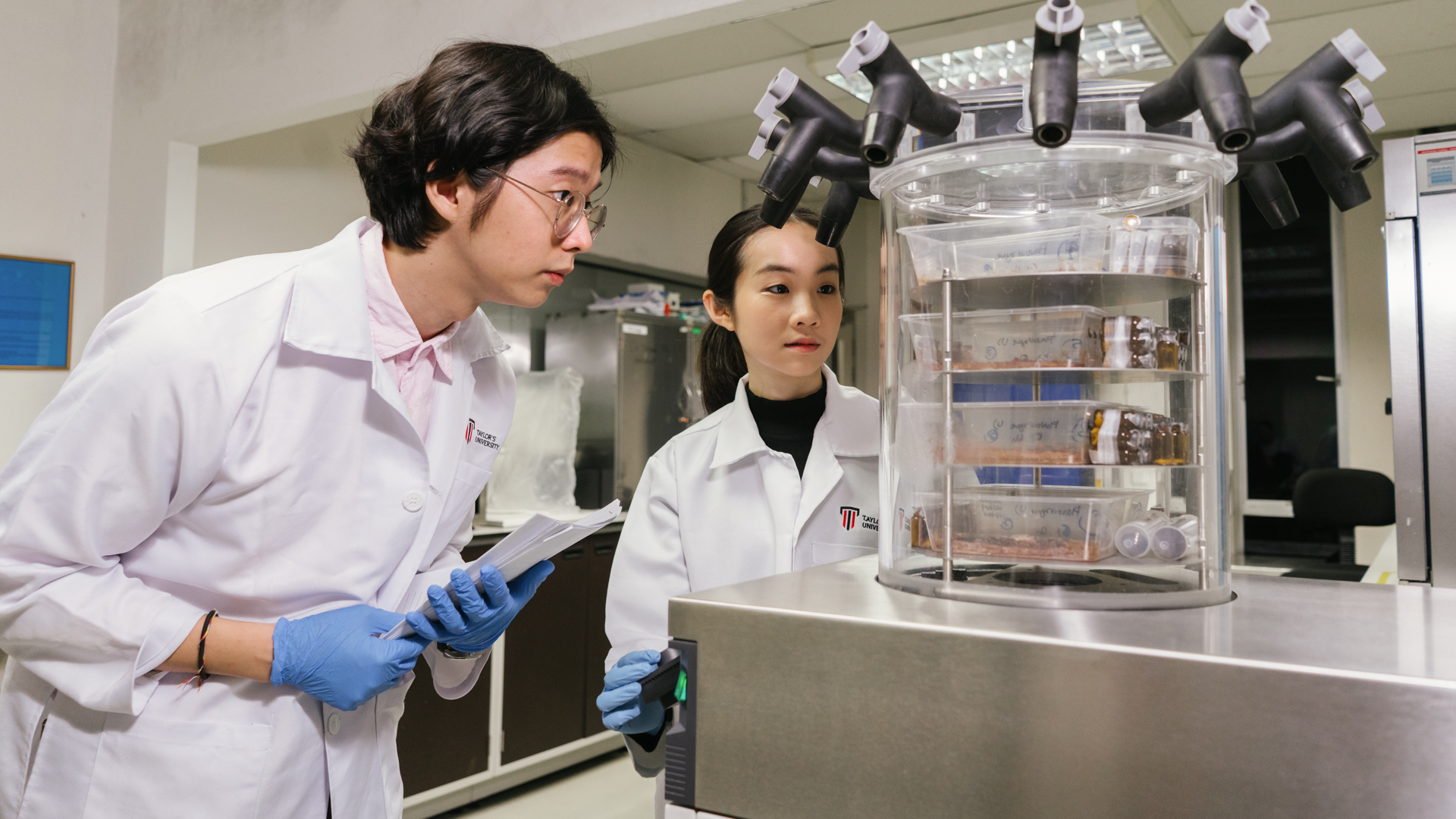 Taylor's pharmacy graduates student conducting experiment in the lab