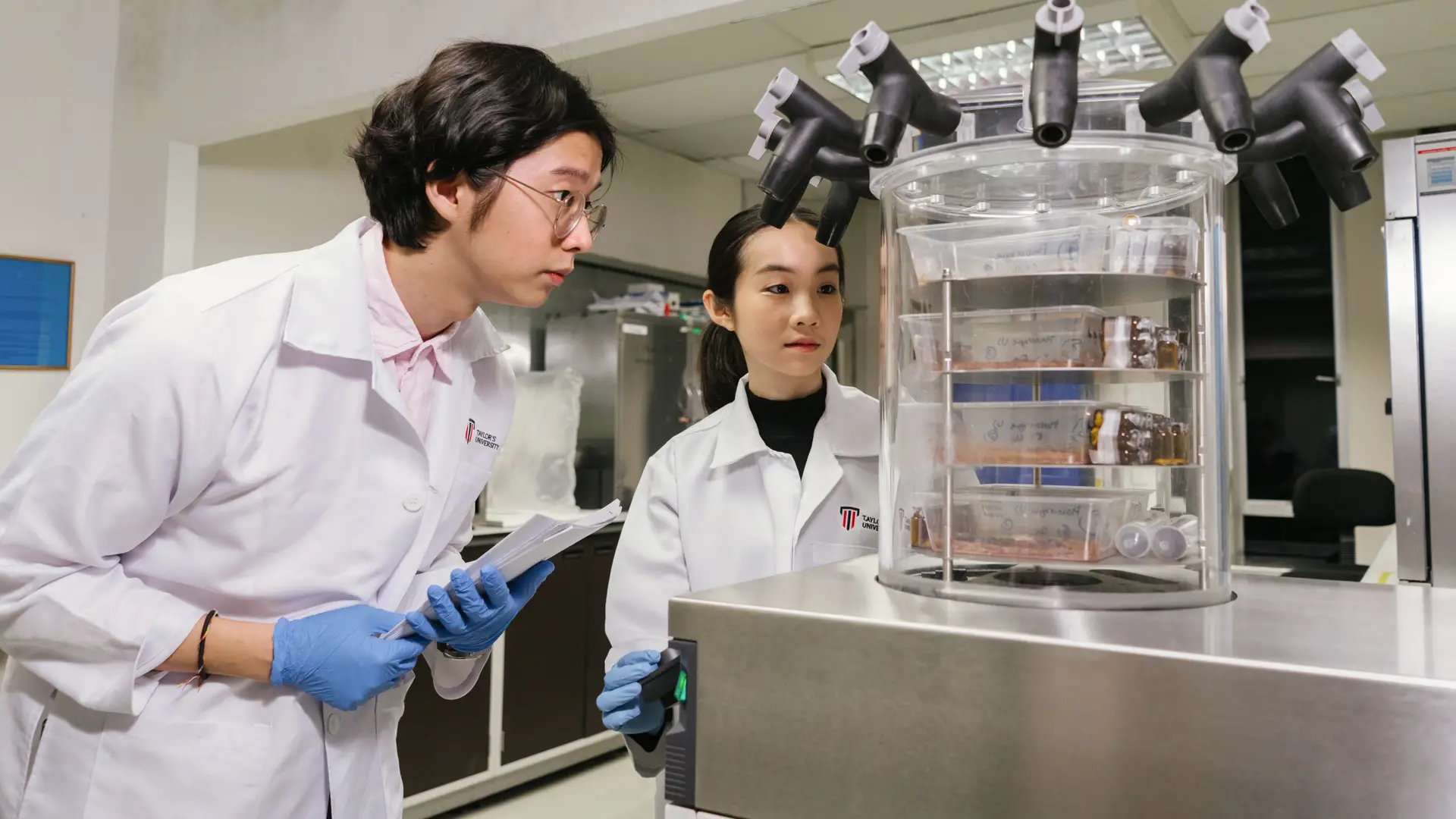 Taylor's pharmacy graduates student conducting experiment in the lab