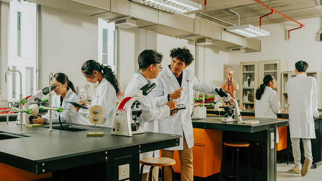 students working in a lab