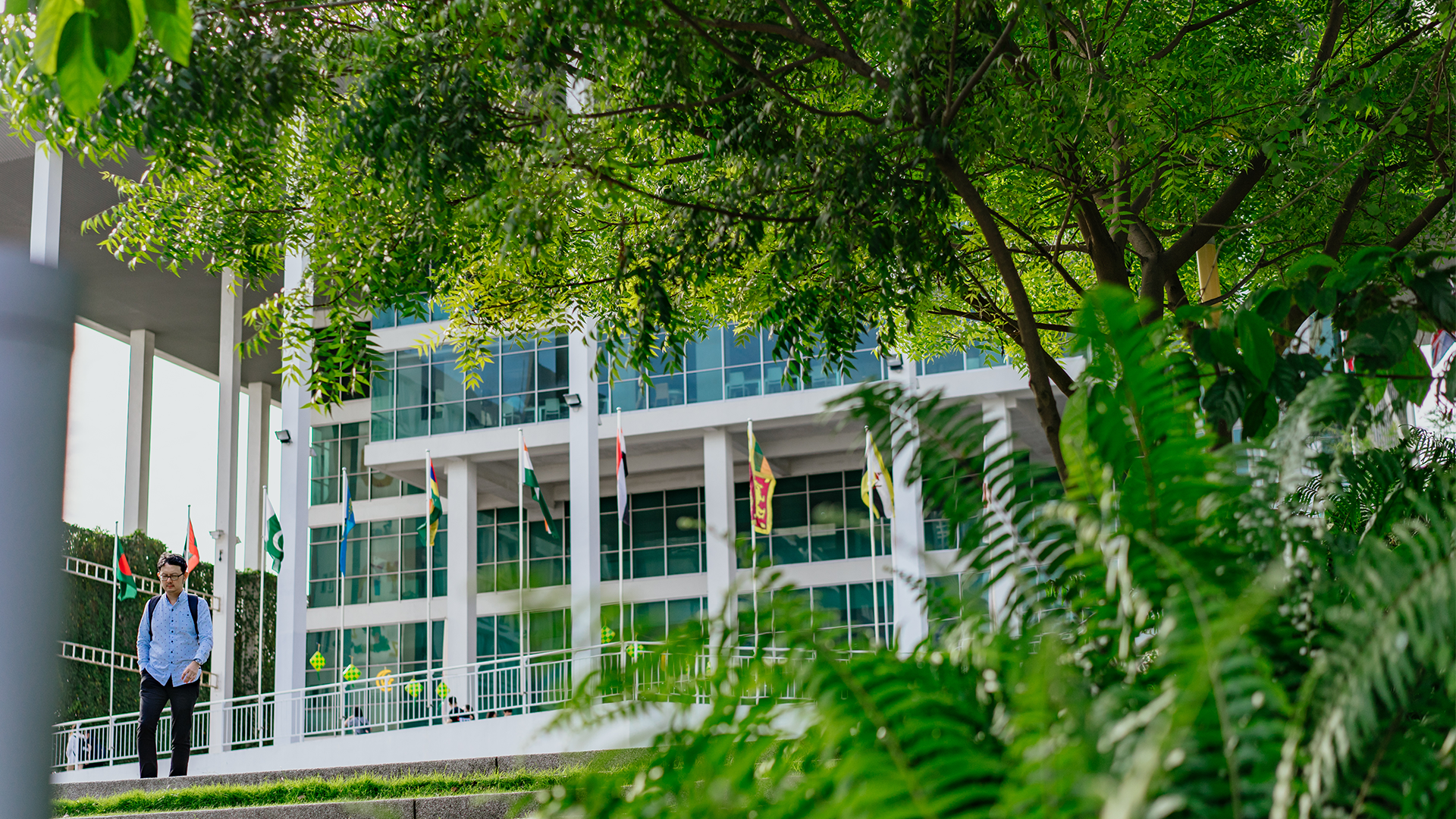 Greenery in Taylor's Lakeside Campus